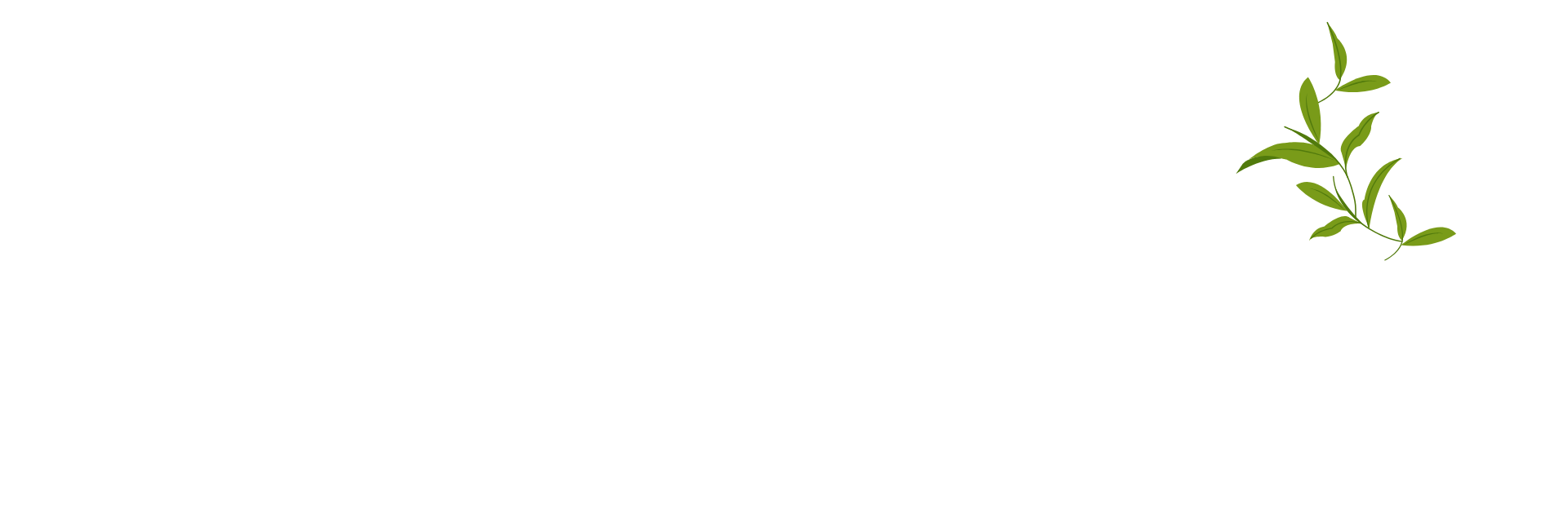知恵ばあ